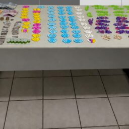 Dupla é presa com mais de 1,2 quilo de drogas durante cerco da PM em Marília