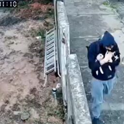 Novas provas agravam caso de gato queimado em condomínio de Garça