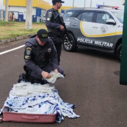 TOR prende boliviana com mais de 16 quilos de skunk em rodovia de Marília