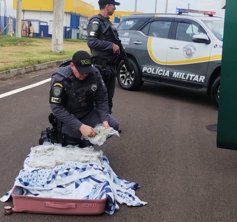 TOR prende boliviana com mais de 16 quilos de skunk em rodovia de Marília