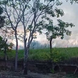 Incêndio de grandes proporções atinge vegetação próxima ao Aeroporto de Marília