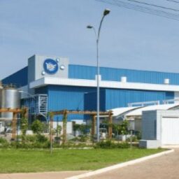 Bactéria encontrada em produtos da Ypê é resistente a antibióticos