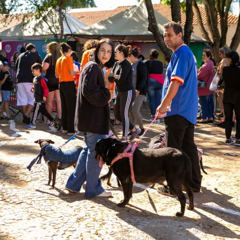 Marília apoia pesquisa nacional sobre turismo voltado a quem viaja com pets