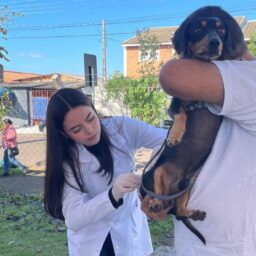 Campanha antirrábica aplica 302 doses em cães e gatos na USF Santa Paula/Marajó