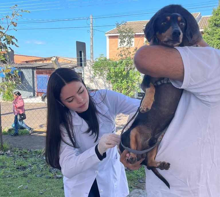 Campanha antirrábica aplica 302 doses em cães e gatos na USF Santa Paula/Marajó