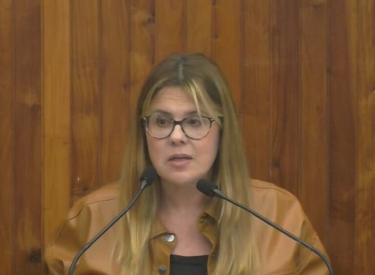 Unimar leva pesquisa sobre feminicídio à audiência pública na Câmara de Marília