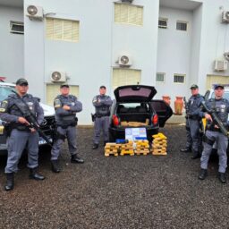 TOR apreende quase 149 quilos de maconha e prende dupla em Maracaí