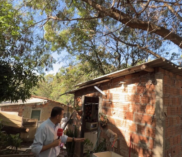 MN TV: Árvore ameaça casa de idosa na zona oeste de Marília