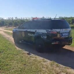 MN TV: Quadrilha falha em roubo milionário em fazenda de Garça