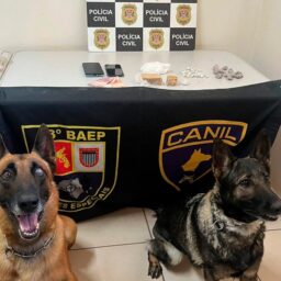 Cães do Baep ajudam Polícia Civil e tráfico termina com prisão em Quintana