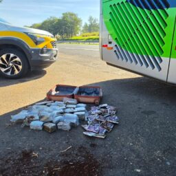 TOR prende mulher por tráfico de drogas durante fiscalização em Garça