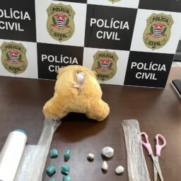Dise apreende drogas escondidas em urso de pelúcia e apreende arma na região