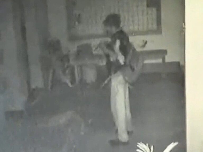 Região com escritórios e clínicas sofre furtos em série; vídeo flagra suspeito