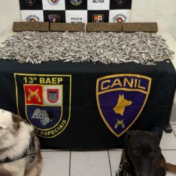 Cães do Baep farejam mais de 9,7 quilos de drogas escondidas em mata na zona norte
