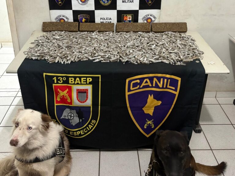 Cães do Baep farejam mais de 9,7 quilos de drogas escondidas em mata na zona norte