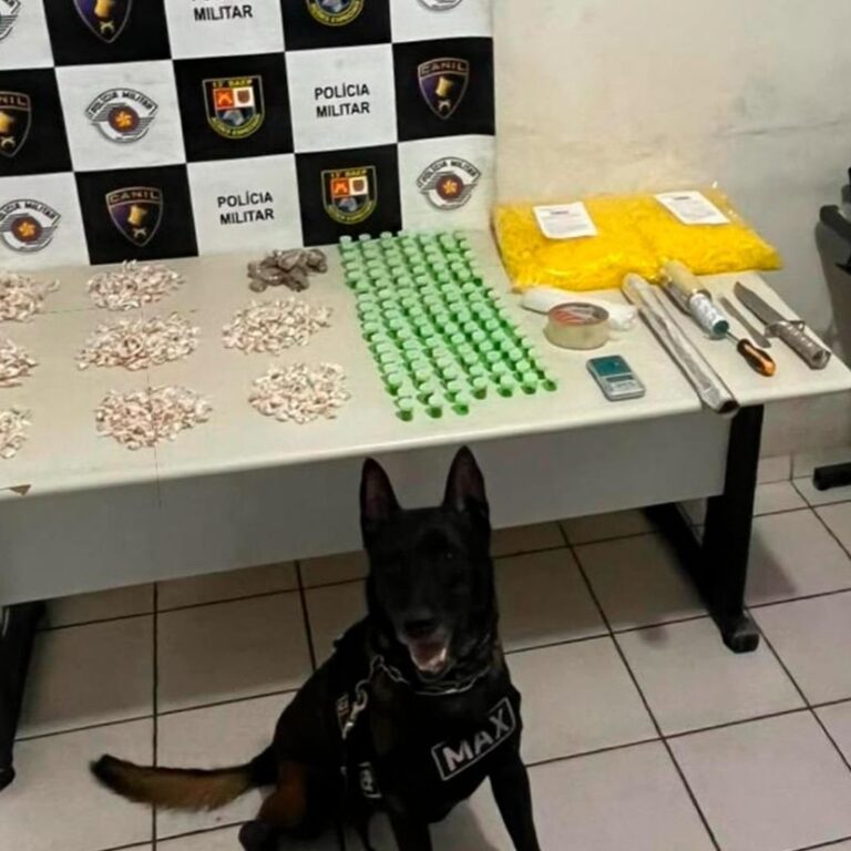 Após fuga de menores, cão farejador descobre mais de mil porções de drogas na zona sul