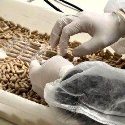 Marília licita sistema de gestão para farmácia de manipulação de medicamentos