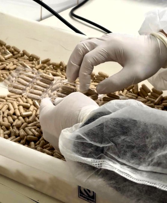 Marília licita sistema de gestão para farmácia de manipulação de medicamentos