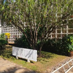 Justiça marca julgamento e nega liberdade a acusado de tentar matar o pai em Marília
