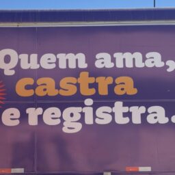 MN TV: Castração gratuita de cães e gatos continua neste fim de semana