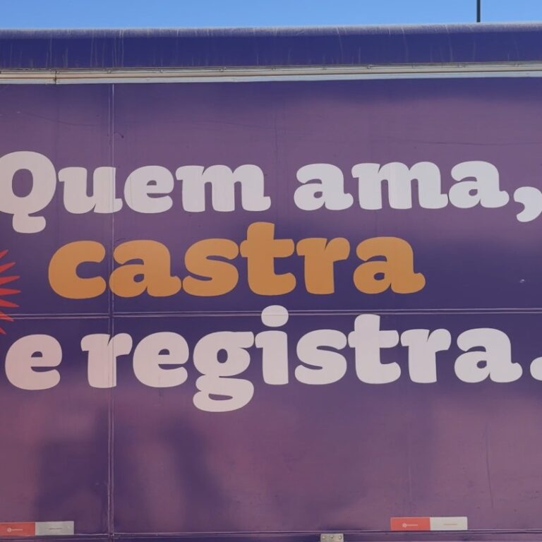 MN TV: Castração gratuita de cães e gatos continua neste fim de semana