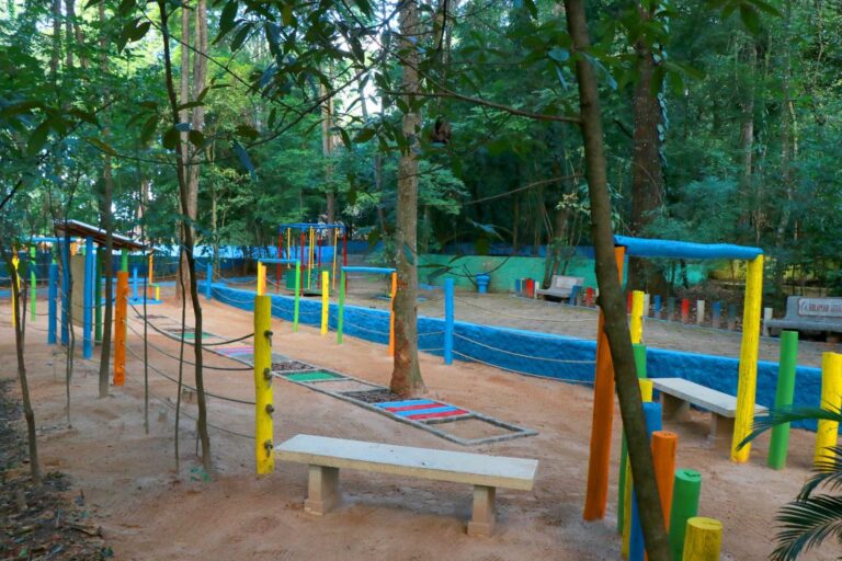 Bosque Municipal de Marília ganha Jardim Sensorial voltado à inclusão e acessibilidade