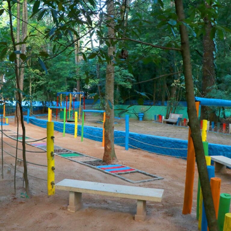 Bosque de Marília ganha jardim sensorial voltado à inclusão e acessibilidade