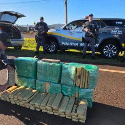 TOR apreende 152 quilos de maconha e prende motorista em Tarumã