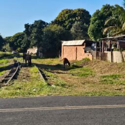 Justiça marca audiência entre a Rumo e moradores de Vera Cruz por área em ferrovia