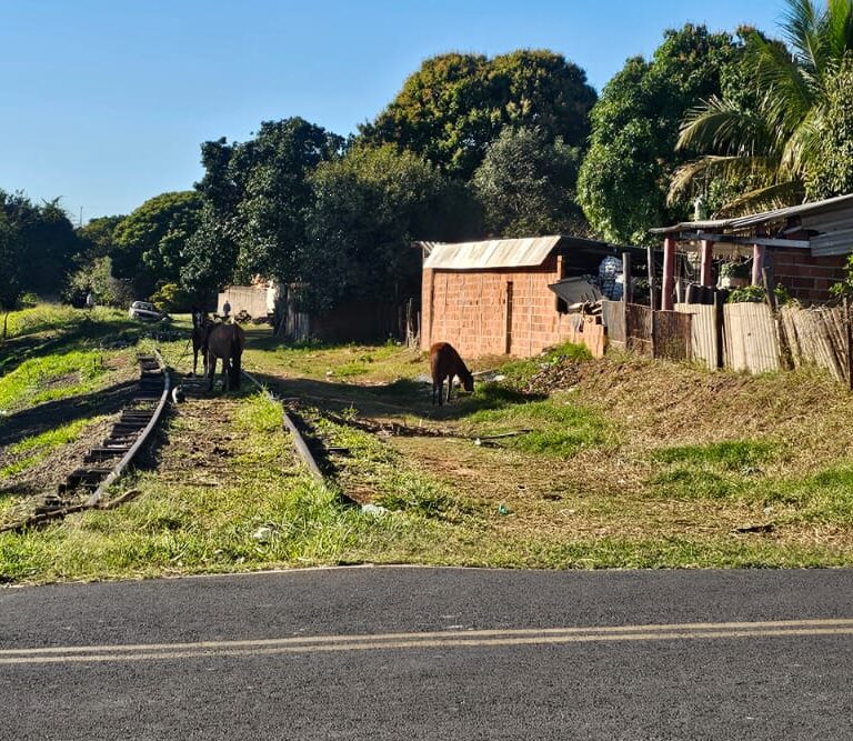Justiça marca audiência entre a Rumo e moradores de Vera Cruz por área em ferrovia
