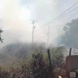 Queimada preocupa moradores por risco de atingir mata em Marília