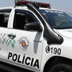 Polícia resgata cão em estado crítico e tutora é investigada por omissão em Marília