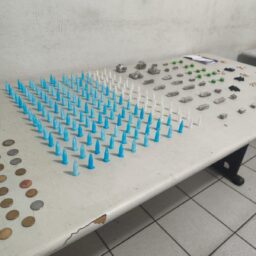 Jovem preso com drogas teria confessado tráfico para sustentar vício e não roubar