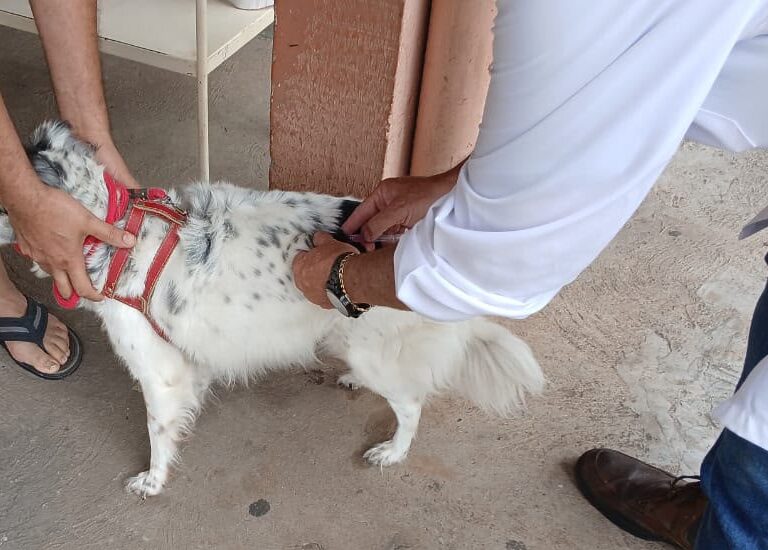 Zona oeste recebe nova etapa da vacinação antirrábica para cães e gatos em Marília