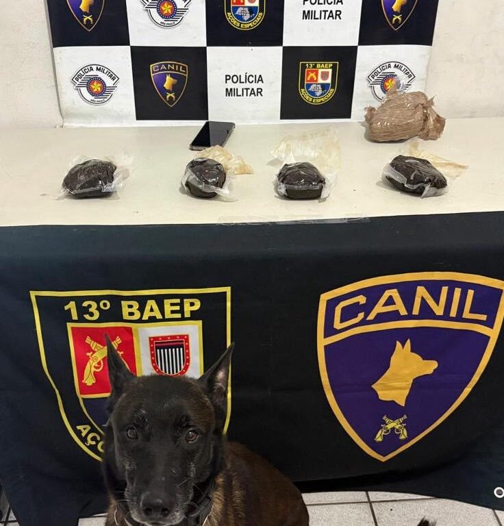 Mulher é presa com drogas na Rodoviária de Marília pelo Baep
