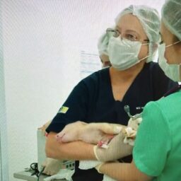 Veterinária formada pela Unimar integra pesquisa sobre futuro dos xenotransplantes