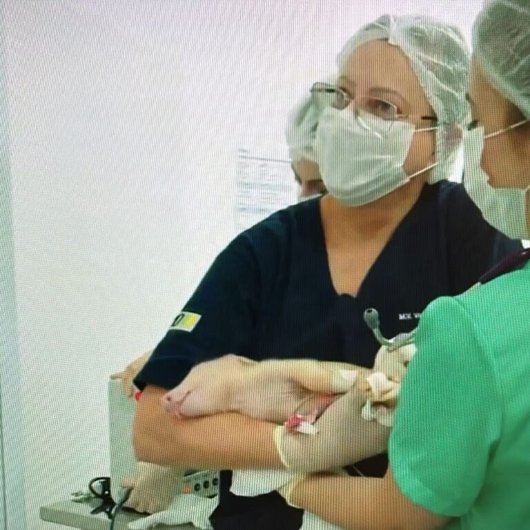 Veterinária formada pela Unimar integra pesquisa sobre futuro dos xenotransplantes