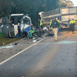 Corpos das 23 vítimas de acidente fatal no Paraná são retirados da pista