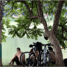 Temperaturas em São Paulo voltam a subir a partir de quarta-feira