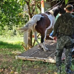 Prefeitura desocupa área pública irregular com apoio da Polícia Ambiental