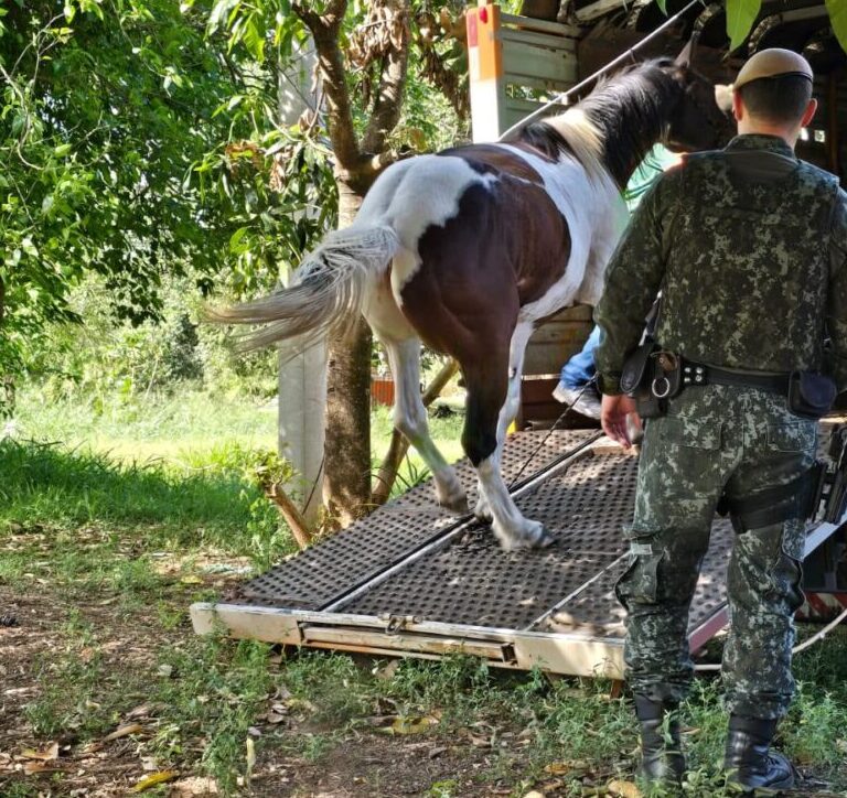 Prefeitura desocupa área pública irregular com apoio da Polícia Ambiental