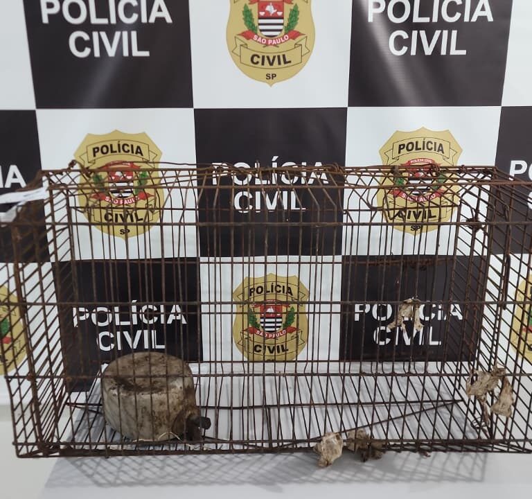 Polícia Civil prende dentista suspeito de maus-tratos contra animal em Marília