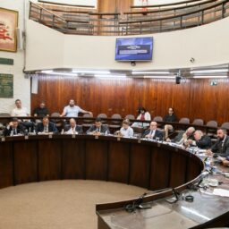 Vereadores de Marília votam regras sobre benefícios funerários e proteção animal