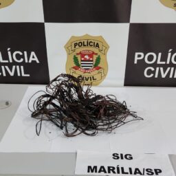 Homem é preso pela Polícia Civil ao queimar fios de cobre furtados na SP-294 em Marília