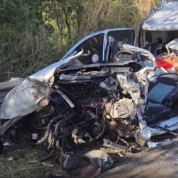 Motorista sobrevive após carro colidir com caminhão na BR-153