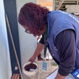 Ação contra dengue encontra seis amostras suspeitas de Aedes na zona norte