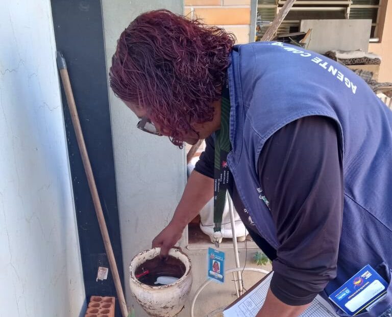 Ação contra dengue encontra seis amostras suspeitas de Aedes na zona norte