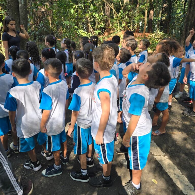 Bosque Municipal recebe alunos de Marília para atividades de educação ambiental