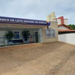 Campanha Agosto Dourado terá programação durante todo o mês em Marília