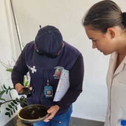 Saúde realiza ações de combate à dengue neste sábado em Marília